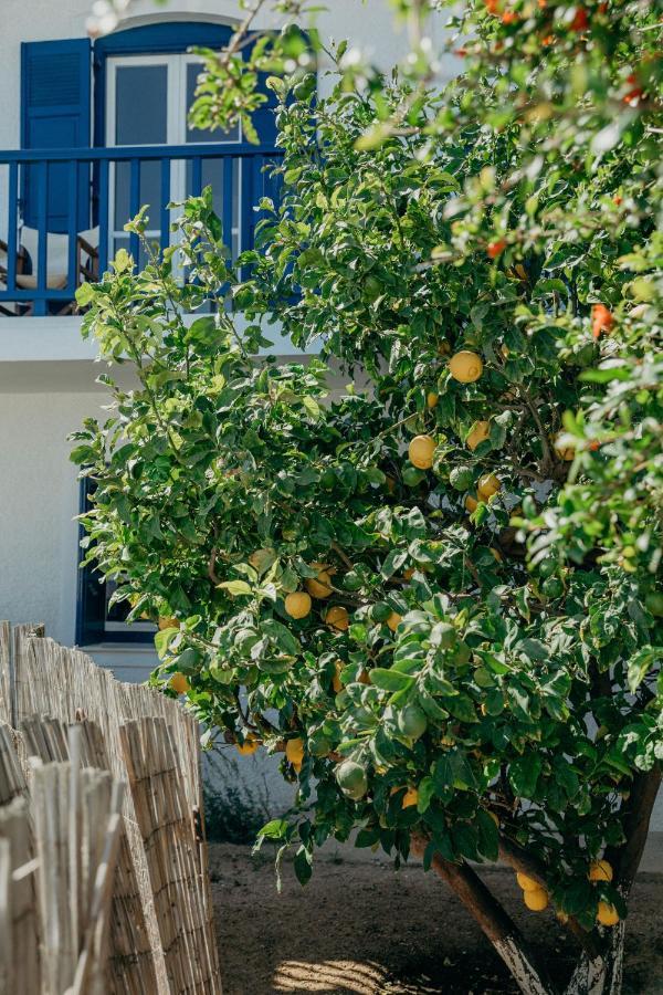 Olympia Apartman Livádi Kültér fotó